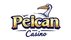 Logo pelican-online.photographerswithdisabilities.org
